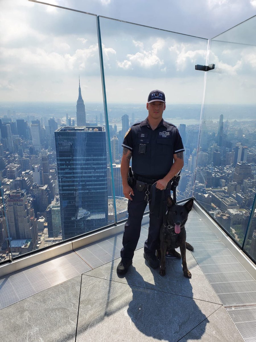 NYPDCT's tweet photo. @nypdct Critical Response teams are #deployed throughout #NYC today & everyday. #K9Teams patrol vital locations searching & sniffing to keep the city #safe.
#K9LeadstheWay: #K9Maddie, #K9Simo & #K9Gunner
#NYPDProtecting #CRC #Counterterrorism #NYPD https://t.co/7Zc5RYEpoN
