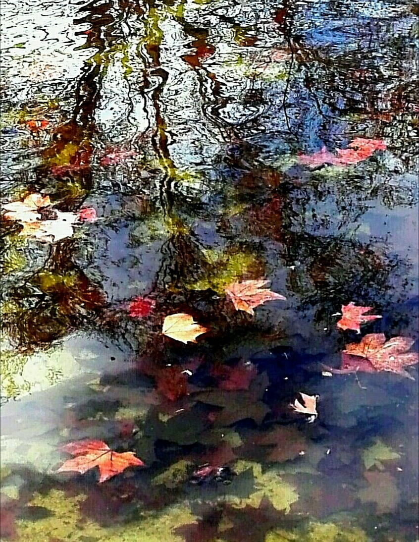 RoMemoria's tweet photo. "ÚLTIMOS JUEGOS EN EL JARDÍN DEL DESEO" Un #Poema mágico y turbador de JUAN SEVILLANO, @RoMemoria ¿Quieres emocionarte con la magia de sus #versos? ¡#Lee y disfruta con un #Poeta esencial! #LeerPoesía #LamejorPoesía #Madrid https://t.co/22MfBgk6rn https://t.co/HvbDJRGqQq