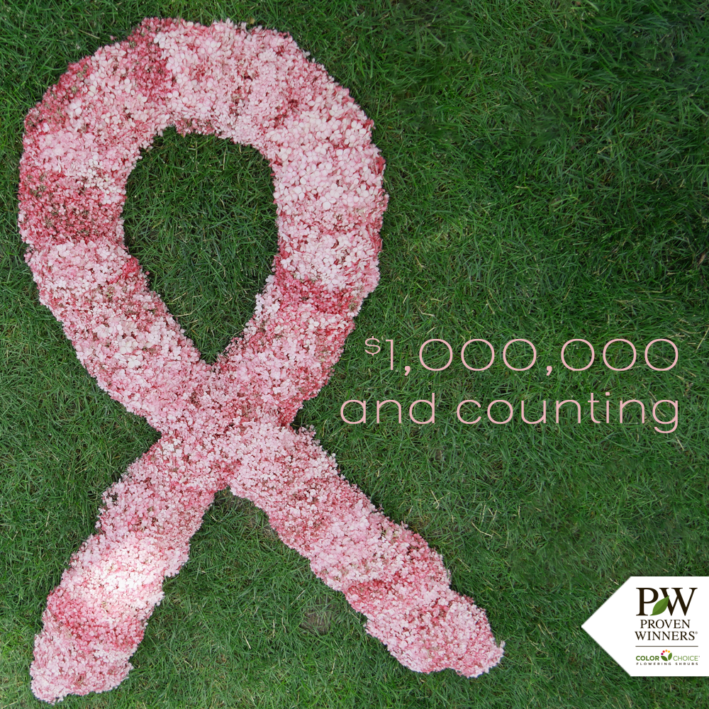 Hydrangea4aCure's tweet photo. We're not done yet! When you shop for your next hydrangea, consider the beautiful, pink Invincibelle Spirit II native smooth hydrangea. $1 is donated to @BCRFcure  for every plant sold. #BetheEnd https://t.co/Pqg64C9XP6