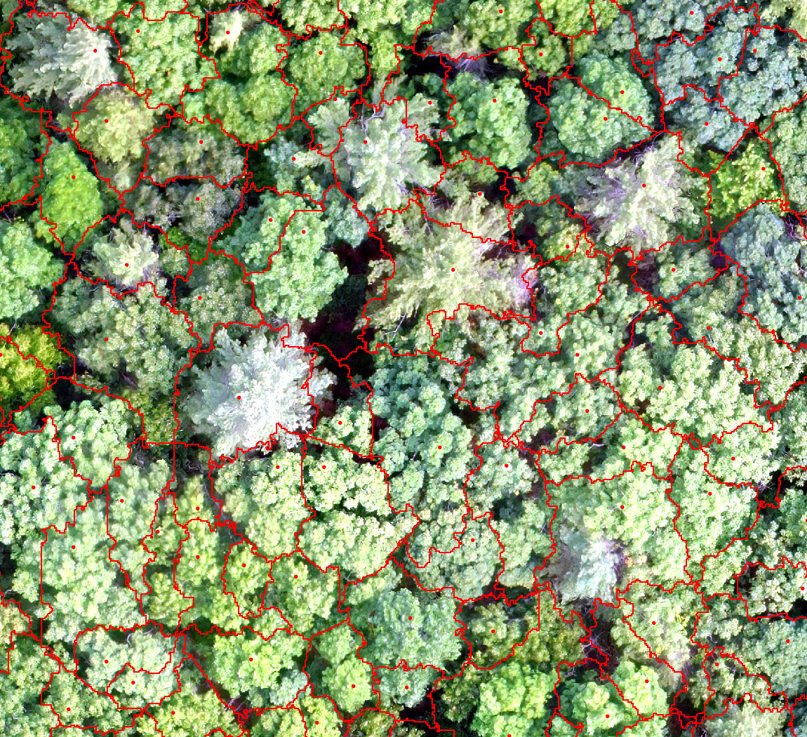 NH_AES's tweet photo. .@UofNH Researchers Identify More Effective Method to Delineate #Tree Crowns Using Unmanned Aerial Imagery @USDA_NIFA @UNHPrez @NEForestry @UNHCE_forestry @UNHExtension @FAOForestry @forestservice @usfs_nrs @usfs_r9 @COLSA_UNH https://t.co/LB25fHVfp9 https://t.co/GuYZy3Toil
