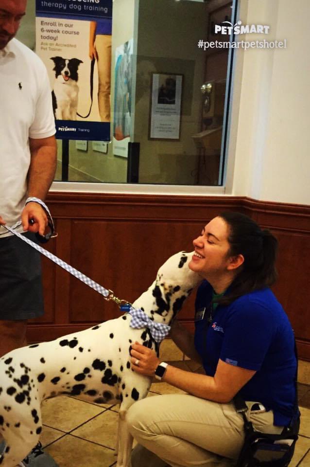 Well, here we are, 14 (consecutive) years w/PetSmart! Can’t believe it’s already been that long! 
#LifeAtPetSmart <a href="/PetSmartAE/">Associate Engagement</a>