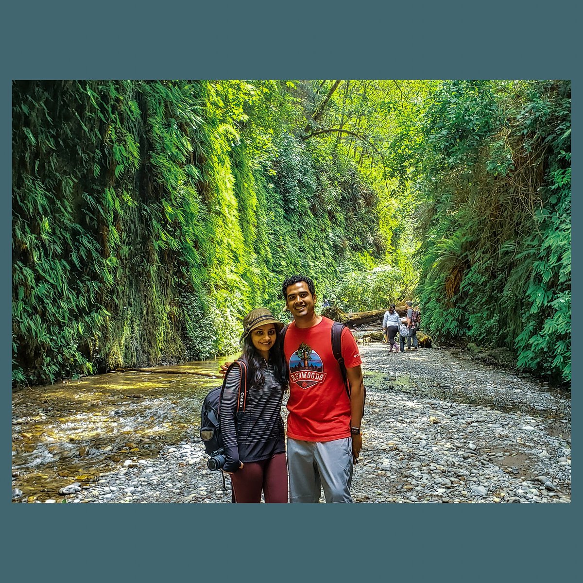 souls_cloud's tweet photo. The most magical and a place that is in stark contrast to the tall #redwoods is the #ferncanyon at @redwoodnps.

We have been to various canyons across #utah, #arizona but this small section in #norcal is unlike anything that you would ever imagine! https://t.co/IQwTZ4YhNa