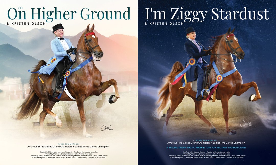 TNH1865's tweet photo. CH On Higher Ground & Kristen Olson, and I’m Ziggy Stardust & Kristen, at ASAW Summerfun #nationalhorseman #asawsummerfun #kristenolson #nelson @markutoftstables #3gaited #5gaited #saddlebred https://t.co/NuTqf0aIS8