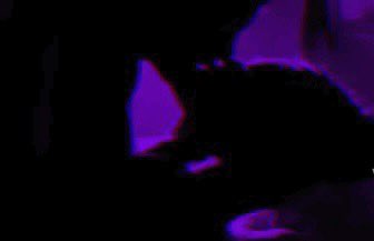 Alive | Gemini, Aries 𝐖𝐞 𝐠𝐨𝐭𝐭𝐚 𝐥𝐢𝐯𝐞 𝐛𝐞𝐟𝐨𝐫𝐞 𝐰𝐞 𝐠𝐞𝐭 𝐨𝐥𝐝𝐞𝐫𝐃𝐨 𝐰𝐡𝐚𝐭 𝐰𝐞 𝐥𝐢𝐤𝐞, 𝐰𝐞 𝐠𝐨𝐭 𝐧𝐨𝐭𝐡𝐢𝐧𝐠 𝐭𝐨 𝐥𝐨𝐬𝐞𝐒𝐡𝐚𝐤𝐞 𝐨𝐟𝐟 𝐭𝐡𝐞 𝐰𝐞𝐢𝐠𝐡𝐭 𝐨𝐟 𝐭𝐡𝐞 𝐰𝐨𝐫𝐥𝐝 𝐟𝐫𝐨𝐦 𝐲𝐨𝐮𝐫 𝐬𝐡𝐨𝐮𝐥𝐝𝐞𝐫𝐬