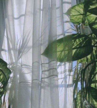 Where Do Broken Hearts Go | Aries, Cancer𝐒𝐡𝐚𝐝𝐨𝐰𝐬 𝐜𝐨𝐦𝐞 𝐰𝐢𝐭𝐡 𝐭𝐡𝐞 𝐩𝐚𝐢𝐧 𝐭𝐡𝐚𝐭 𝐲𝐨𝐮'𝐫𝐞 𝐫𝐮𝐧𝐧𝐢𝐧𝐠 𝐟𝐫𝐨𝐦𝐋𝐨𝐯𝐞 𝐰𝐚𝐬 𝐬𝐨𝐦𝐞𝐭𝐡𝐢𝐧𝐠 𝐲𝐨𝐮 𝐧𝐞𝐯𝐞𝐫 𝐡𝐞𝐚𝐫𝐝 𝐞𝐧𝐨𝐮𝐠𝐡