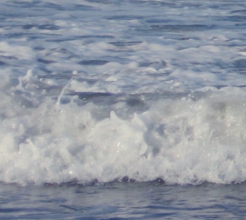 Olivia | Libra, Sagittarius𝐖𝐡𝐞𝐧 𝐲𝐨𝐮 𝐠𝐨 𝐚𝐧𝐝 𝐈'𝐦 𝐚𝐥𝐨𝐧𝐞𝐘𝐨𝐮 𝐥𝐢𝐯𝐞 𝐢𝐧 𝐦𝐲 𝐢𝐦𝐚𝐠𝐢𝐧𝐚𝐭𝐢𝐨𝐧𝐓𝐡𝐞 𝐬𝐮𝐦𝐦𝐞𝐫𝐭𝐢𝐦𝐞 𝐚𝐧𝐝 𝐛𝐮𝐭𝐭𝐞𝐫𝐟𝐥𝐢𝐞𝐬𝐀𝐥𝐥 𝐛𝐞𝐥𝐨𝐧𝐠 𝐭𝐨 𝐲𝐨𝐮𝐫 𝐜𝐫𝐞𝐚𝐭𝐢𝐨𝐧