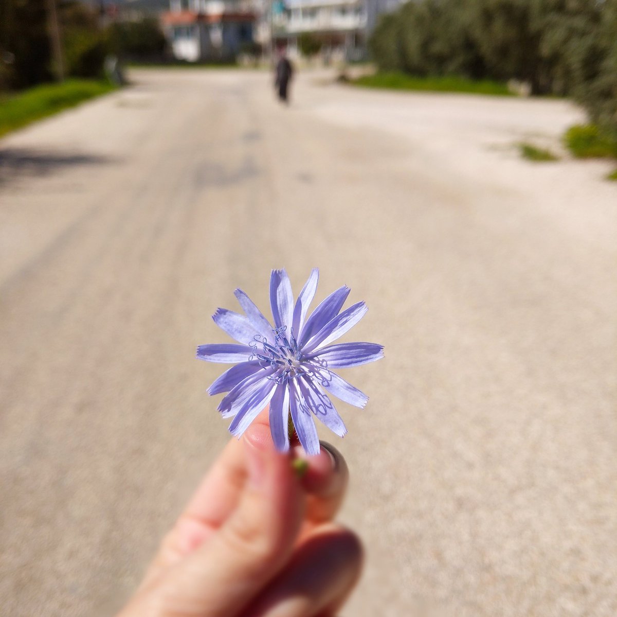 En iyiyi ararken iyiyi kaybediyoruz .