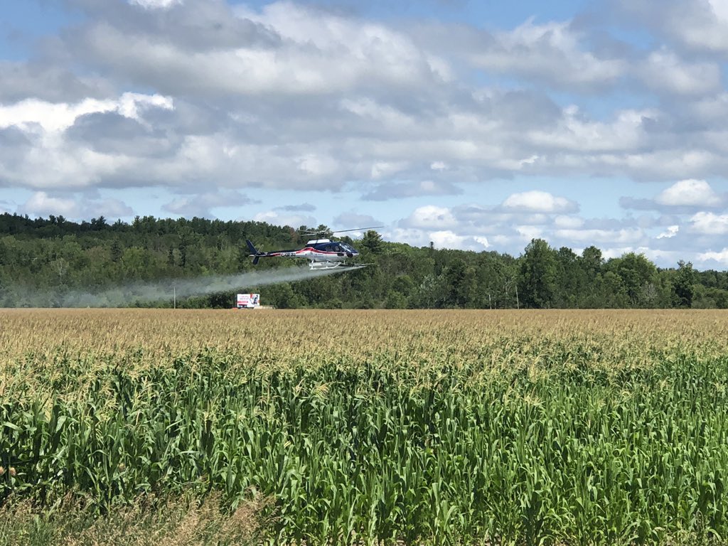 ScottCaughill's tweet photo. Getting some fungicide on the corn today. Thanks to @ZimmerAir https://t.co/JscSMx1Dyb