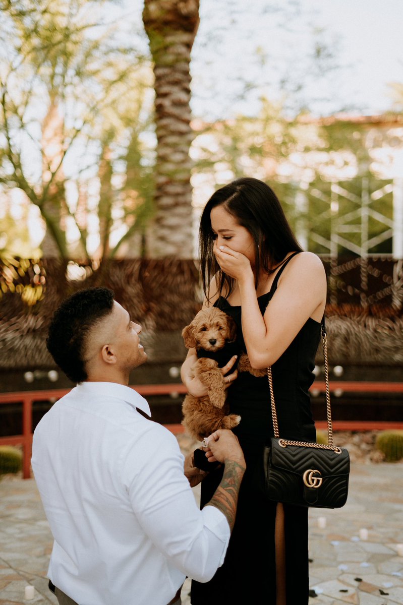 DTSummerlin's tweet photo. Pro-tip: always propose with a puppy so she has to say yes! 🐶 Attention dog owners, we’ve got exciting news! The 2021 #DogsOfDTS calendar contest will begin next week. Stay tuned! 🗓 https://t.co/Sv0A1ZuKBS