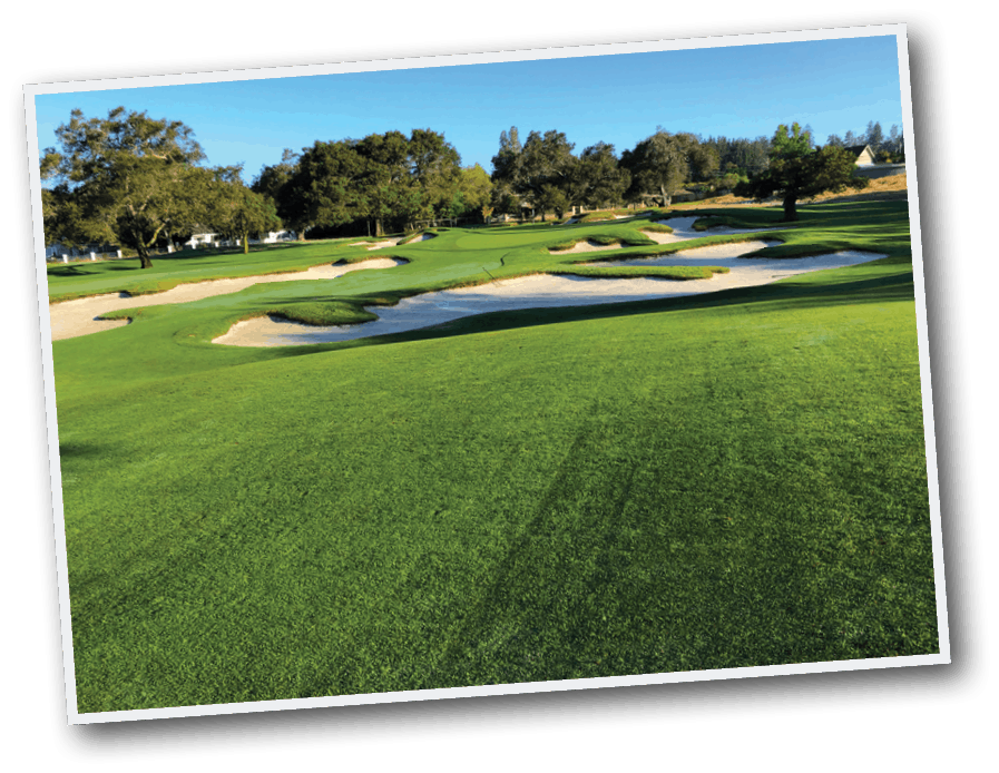 GCImagazine's tweet photo. What does it take to maintain a Golden Age gem to meet modern golfer demands? We explore the successful formula established by Justin Mandon and the Pasatiempo Golf Club team. #EnduringGreatness @ToroGolf
 https://t.co/m2XpUnbhnR https://t.co/jSnxval3Mg