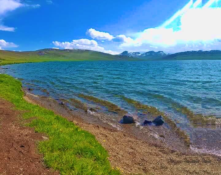 FasinatingP's tweet photo. Deosai 💚💚🇵🇰🇵🇰
 #FascinatingPakistan 
📷 Ashraf Baltistani https://t.co/7XeLf3raGp