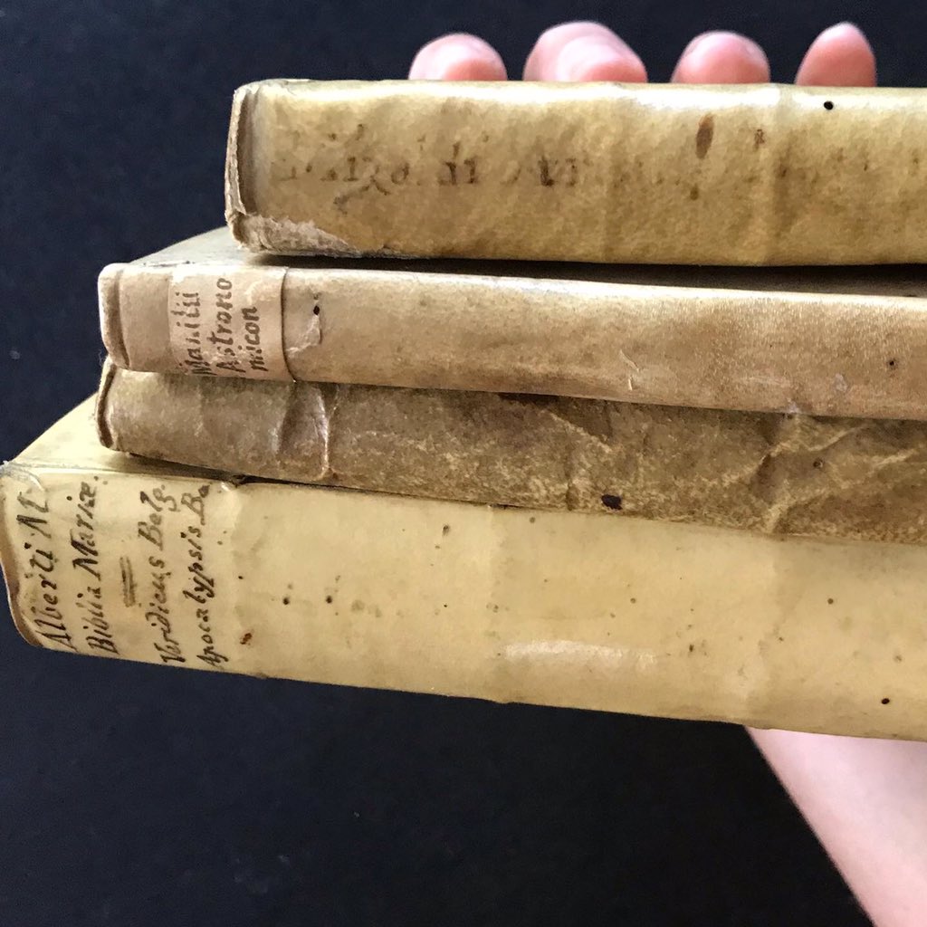 A handful of #vellum bound books. 
So many delightful #books in this handful, including (from top to bottom): a 1558 De Arcanis Naturae, a 1551 #Astronomicon, a 1668 Les Vrayes de #Nostradamus, &amp; a 1625 Biblia Mariae by Magnus, bound w a 1626 Verdicus Belgicus by Scribanius.