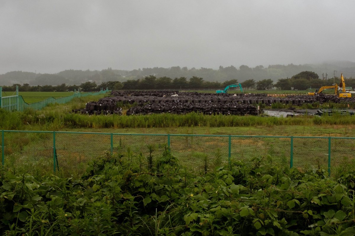 We saw fields of irradiated soil and a museum of displacement.