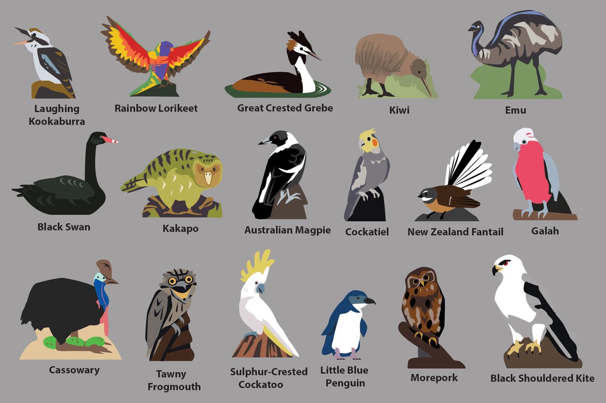 Meeple Source .com tweet media