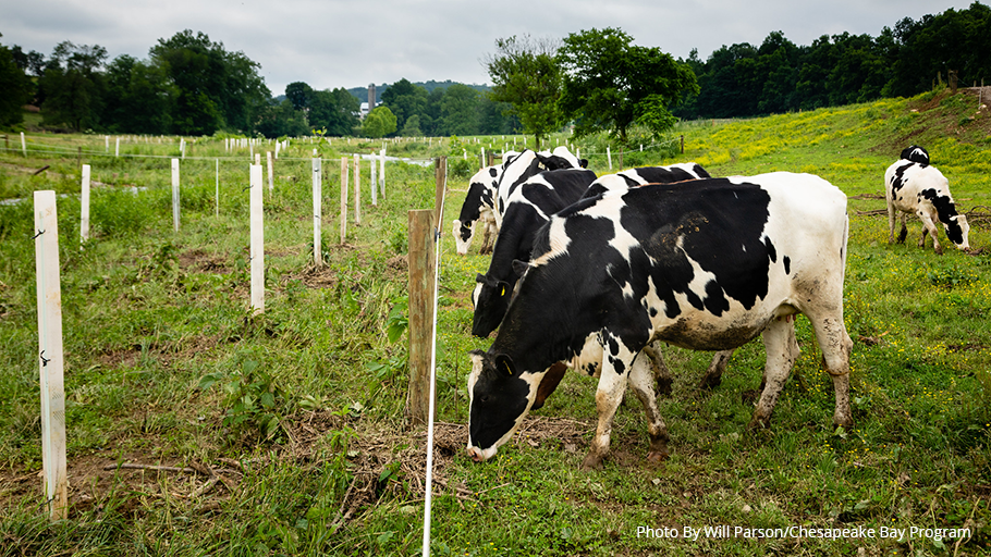 DCNRnews's tweet photo. Ready to plant your streamside buffer? Contact #StreamBuffer experts at https://t.co/1cvIhSHMbr, ra-nrstreambuffers@pa.gov, or 717-705-2820 to arrange a site visit. They’ll recommend an approach that is customized for you & your property ➡️ https://t.co/7PFP2P1WkM #BufferMyStream https://t.co/Abxf6xrO5l