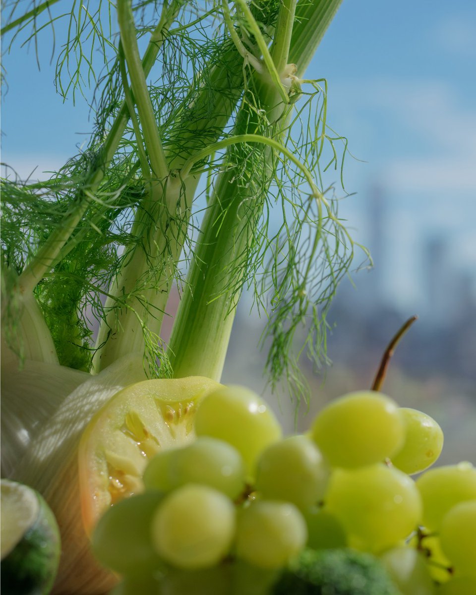 Fennel, green tomato, grapes, lime, and broccoli in the Manhattan skyline. From last summer's Street Fare campaign.