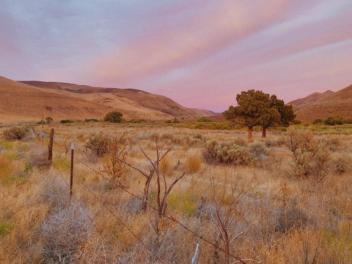 blowing kisses in the wind