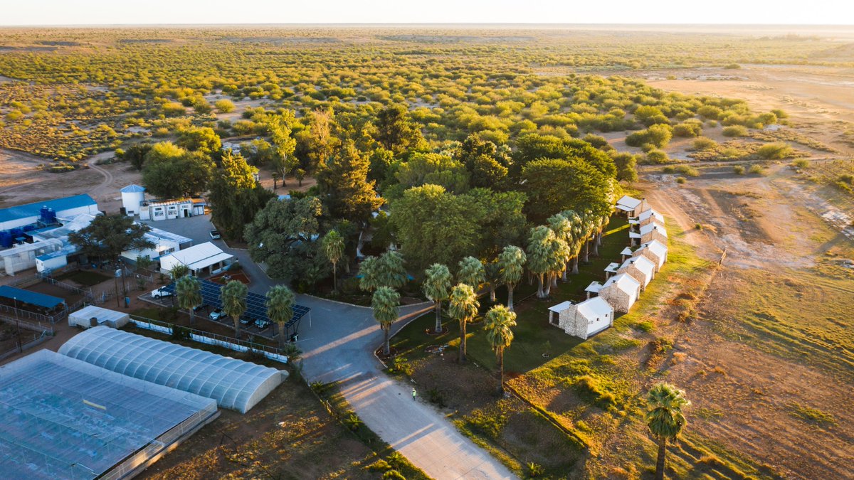 elenatravelnam's tweet photo. Gondwana Kalahari Farmhouse in Stampriet area
#Dronesberg #KalahariFarmhouse #Africa #DroneNamibia #NamibwebCom #ExploringNamibiaTV #GondwanaNamibia #YouTubeVideoNamibia #BlogNamibia #Stampriet https://t.co/jyAalsULko