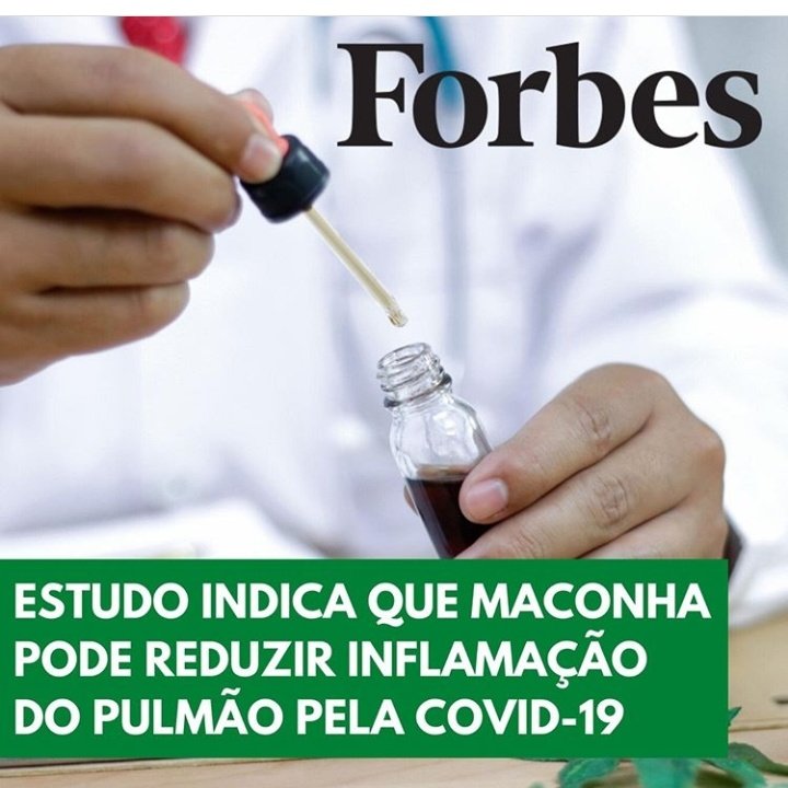 de_40tena's tweet photo. Verdades de 40tena part04:

Nunca na história da humanidade existiu um momento tão oportuno para se assumir maconheiro.
#quarentena
#cloroquinaéomeupau
#Covid_19 
#marypiffsalvavidas https://t.co/iSrath4YTa