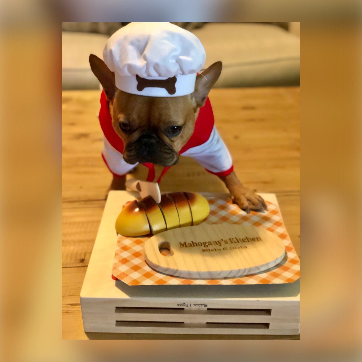 FarmBully's tweet photo. Break Bread ๐
#Mahogany #BreakBread #BoneAppetite #PamPet #MelissaandDougToys #PersonalzationMall
#MahoganyTheFrenchie #MemoirsOfMahogany #FunFrenchie #LovingLife #BossDog #RockStar #QueenMahogany
#frenchbulldogs #frenchbully #puppylove #frenchiepuppy #frenchielovers https://t.co/T0PgJsWkz8