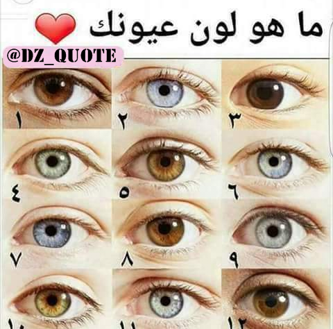 Dz_quote's tweet photo. -ما هو لون عيونك؟ https://t.co/viJpK36eHM