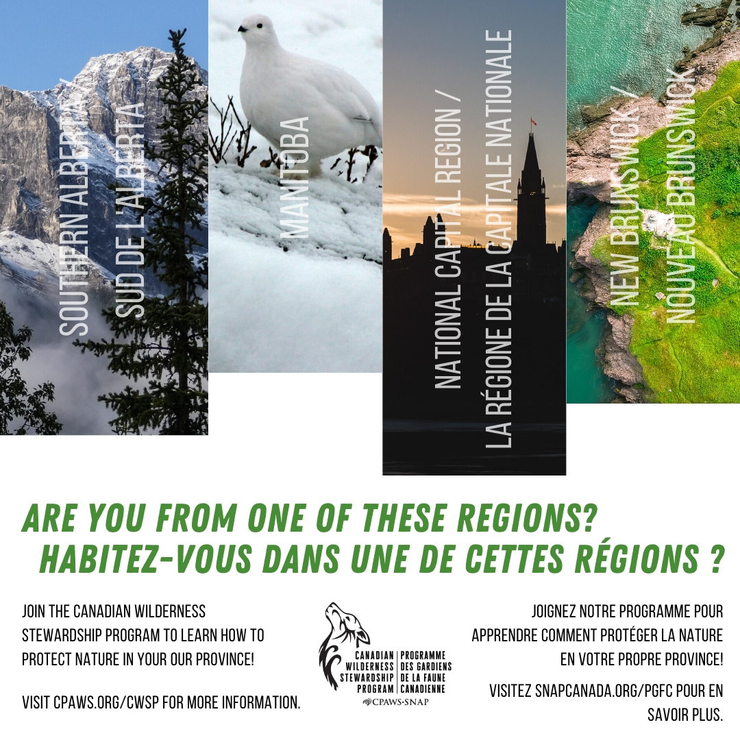 RCGS_SGRC's tweet photo. Are you looking for training opportunities to lead conservation work in Canada? Check out the Canadian Wilderness Stewardship Program! #CPAWSinAction
https://t.co/PqJ24dCM7u (EN)
https://t.co/HpFKQTX545 (FR) https://t.co/LKqxkDyAf4