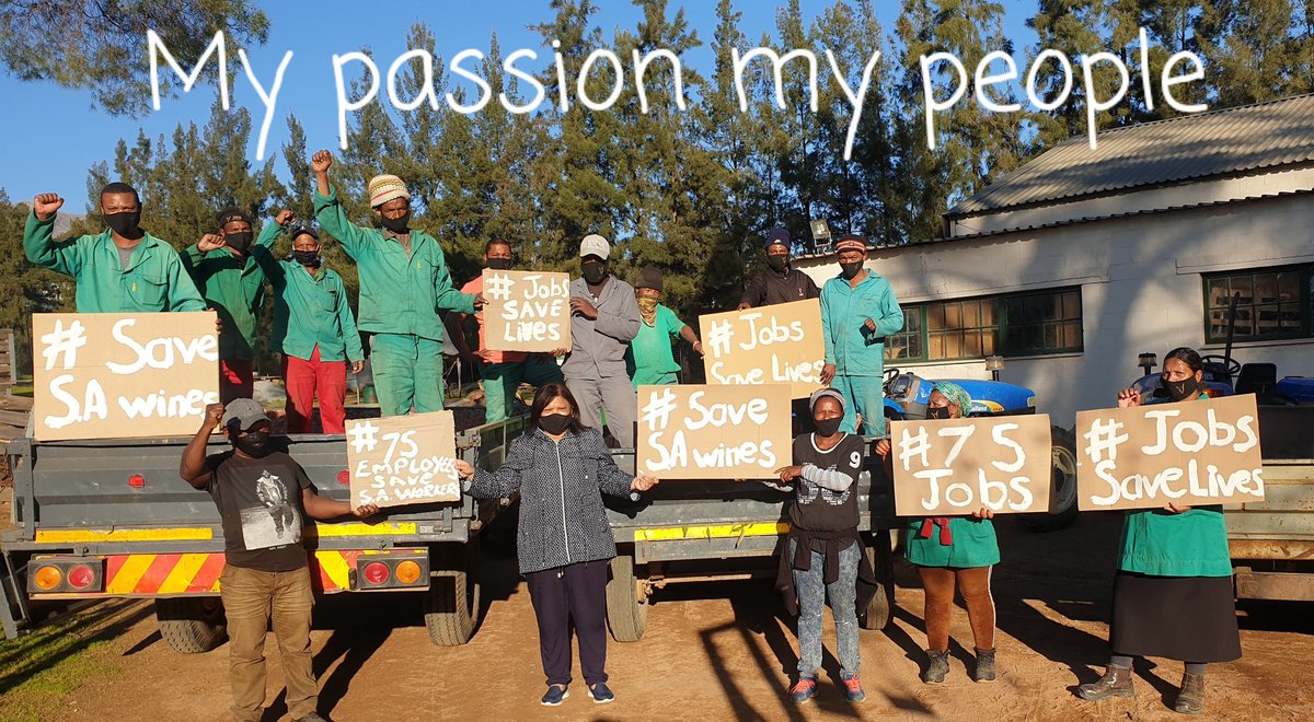 Many farms, wineries &amp; related businesses will simply not survive &amp; thousands of job losses are on the cards!
We as #Thokozani support the Wine Industry to raise awareness of the plight of the SA Wine Industry! #jobssavelives #savesawine #wosa #witu_sa #vinpro