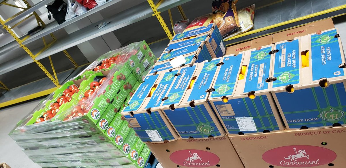 TNOtoronto's tweet photo. ๐
๐#tnofoodcollaborative Thank you to the @DailyBreadTO for these amazing produce! Thankful for the partnerships that are supporting our initiative. @UWGreaterTO @LeasideToy @TorontoHifz @thirdpillar_ @aplaceforfood https://t.co/JDfIsjjQHA