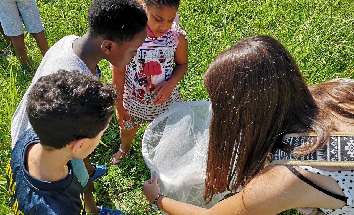 ceschina__'s tweet photo. Urban butterfly watching today with childern hosted by Casa Farinelli family house 🏡🦋
How many species have we found? 

@proGIreg
#CitizenScience #ButterflyCount #urbanbutterflies  #urbangarden #greencity #Turin #MirafioriSud #nbs8 #urbanpollinators #entomology #pollinators https://t.co/2A1toM7tq0