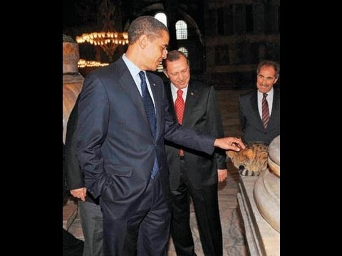 Cat welcoming Obama along with President Tayyip Erdoğan in  #Ayasofya