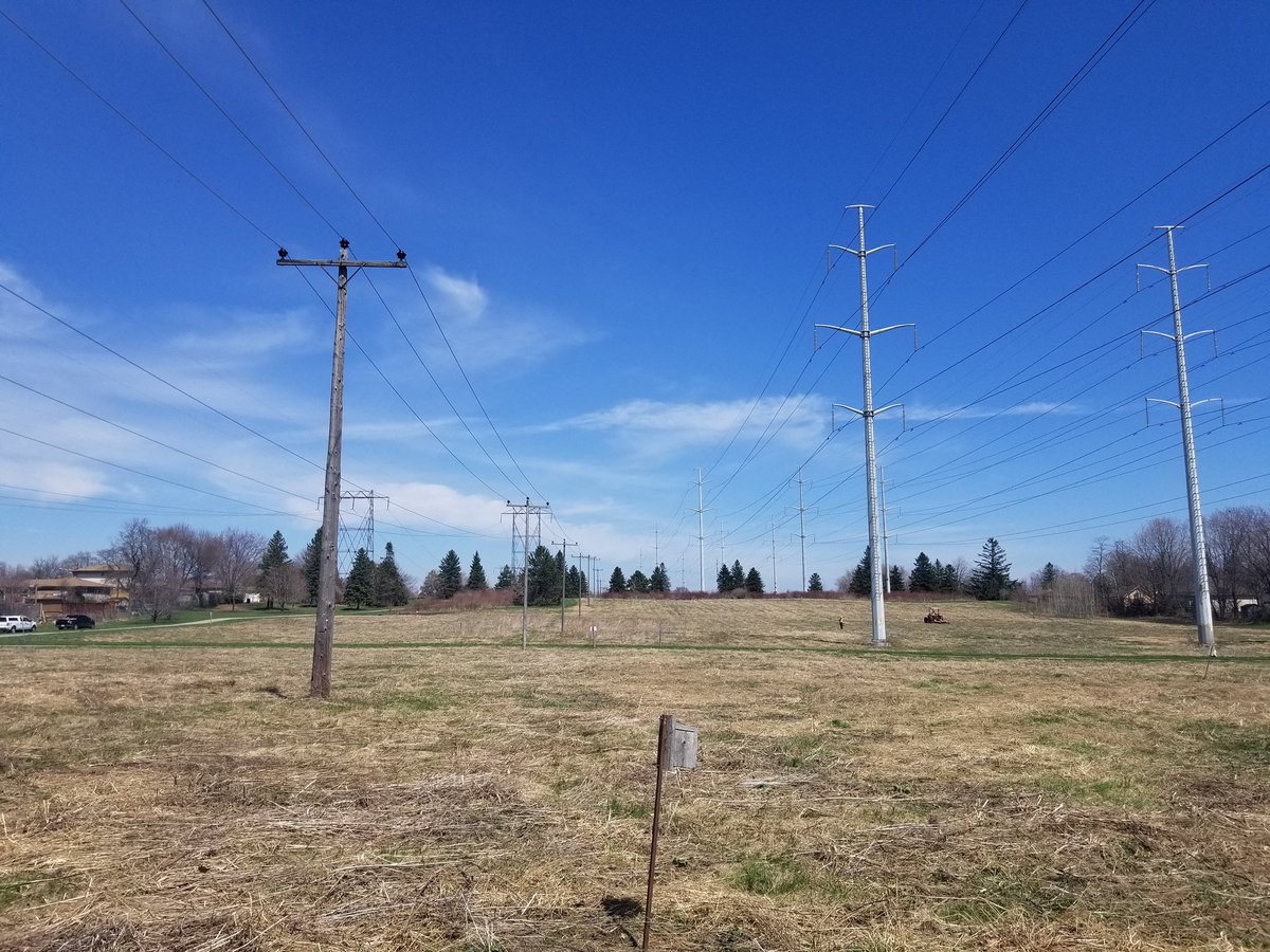 TheMeadoway's tweet photo. #ThrowbackThursday From turf grass to thriving meadow - this section of #mymeadoway is just east of Benshire Rd. It's the site of our pilot project that provided the inspiration to expand restoration efforts to a full 16 km. #ScarbTO https://t.co/75R6sn5lBF