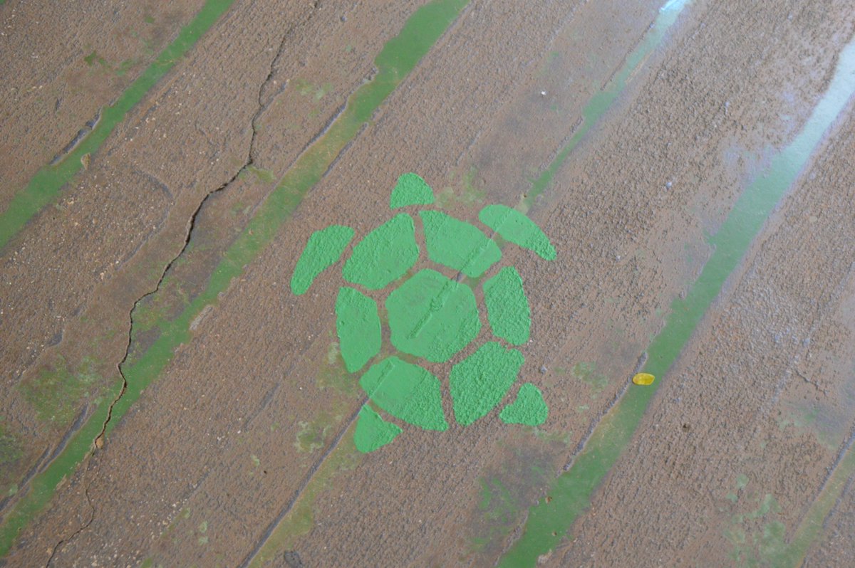 Kailua Elementary tweet media