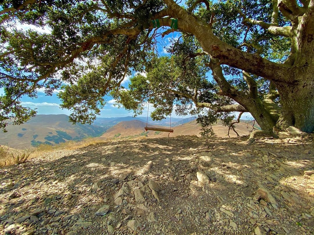 ShareSLO_'s tweet photo. Self-care is important. Get some fresh air while socially distancing from others in the many open spaces all over San Luis Obispo ✨ #SLOready #ShareSLO #BeHere https://t.co/5nFAlBvZwk
