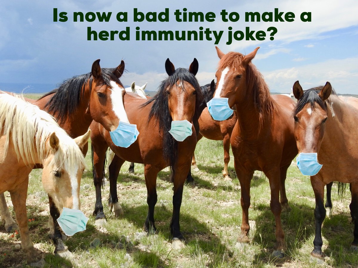 Englercanyon's tweet photo. Probably.
#washyourhands #wearamask #keepyourbubblesmall #dontsendmeangrymessages #iloveyou #wegotthis #wildhorses #mustangsmatter #sodoyou https://t.co/1cPDAEjouo