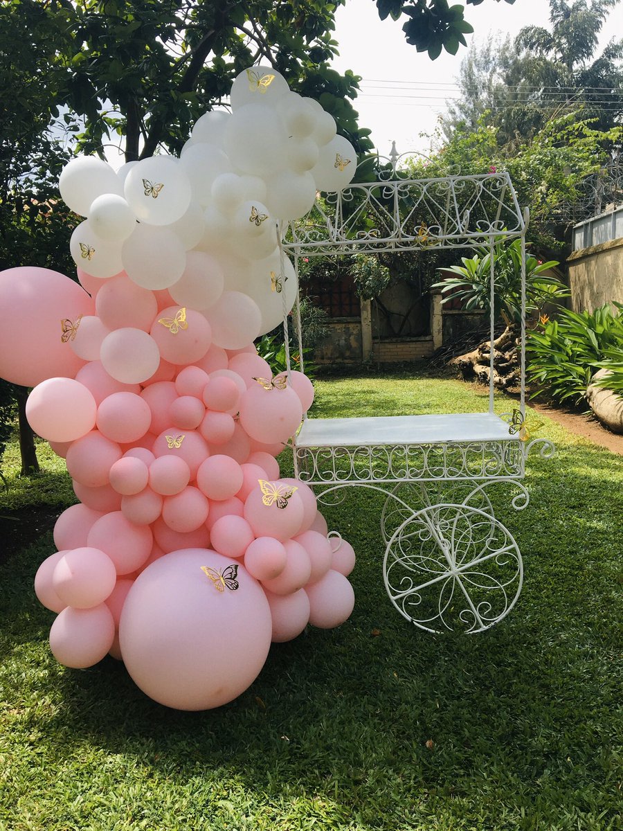 Our set up for Lydia’s butterfly themed birthday was all shades of pretty😍😍😍
Help retweet pleaseeeee my next customer might be on your timeline 
#AbujaTwitterCommunity #SmallBusiness #abujapartyplanner #abujaevents
