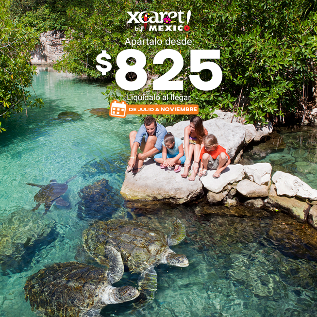 SacbeEcotours's tweet photo. Aparta hoy #Xcaret desde $825 mx y liquídalo al llegar, con reservación abierta de Julio a Noviembre 2020, para que tu elijas tus fechas. Pregunta por las nuevas medidas preventivas del parque y disfruta con seguridad y tranquilidad.
https://t.co/p4EJawsfxQ https://t.co/sHjf8U3G2x