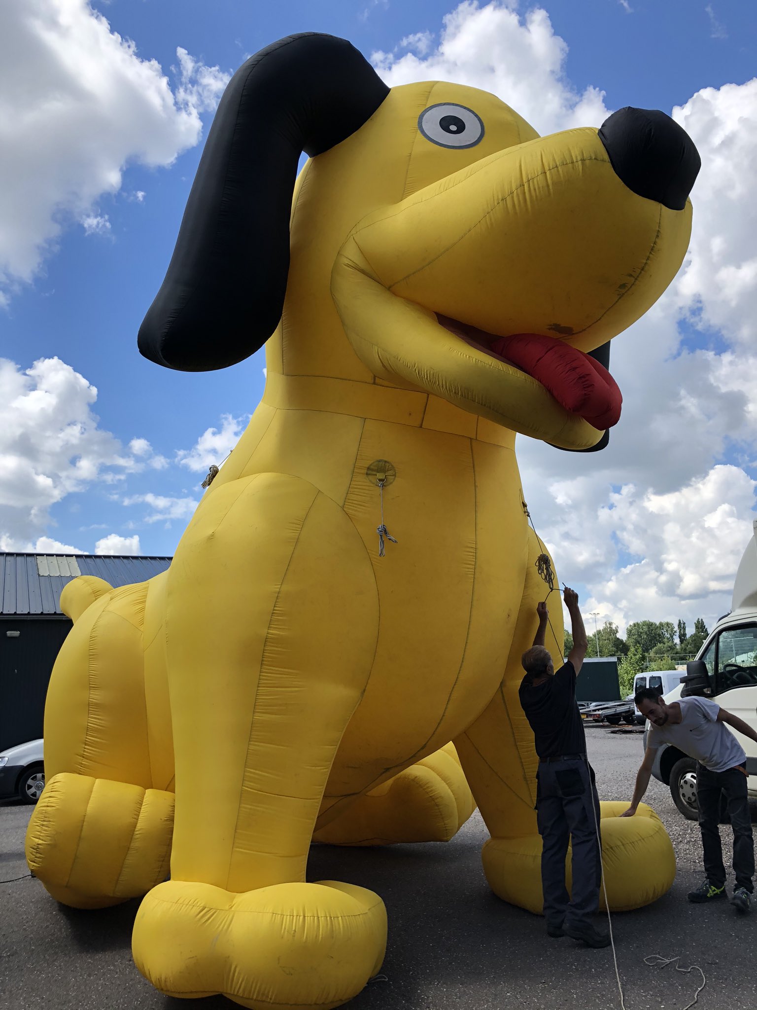 cafetaria Rentmeester Politiek Opblaasfiguur.nl on Twitter: "Huur eens een hond! Deze is opblaasbaar en  wel 6 meter hoog 🤩 https://t.co/IXKUiOFqDQ https://t.co/FTtXC66Jza" /  Twitter
