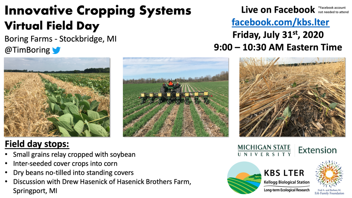 KBSLTER's tweet image. Join us for our live Cropping System Resilience Virtual Field Day with @TimBoring next Friday, July 31 at 9am EST. Tim will discuss topics such as relay cropping, interseeding covers, and no-til dry beans.
lter.kbs.msu.edu/wp-content/upl… #covercrops #resilience #interseeding #KBSLTER