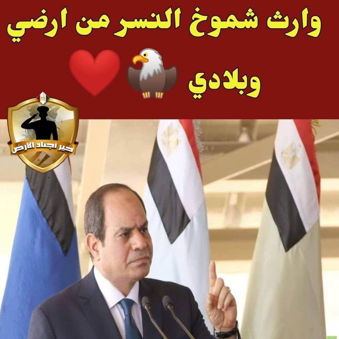 RanyaRamzy2's tweet image. Good luck ❤️#شريف_الصيرفي