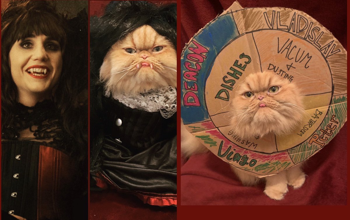 PawsWinterfell's tweet photo. “We’re vampires. We don’t put down towels.”-Vadislav #shadowsfx #fxsdcc @theshadowsfx @DeliciousNecks @Natasia1andonly #chorewheel #nadja #creepypaper #bestshowontv https://t.co/DV2y46jPIX