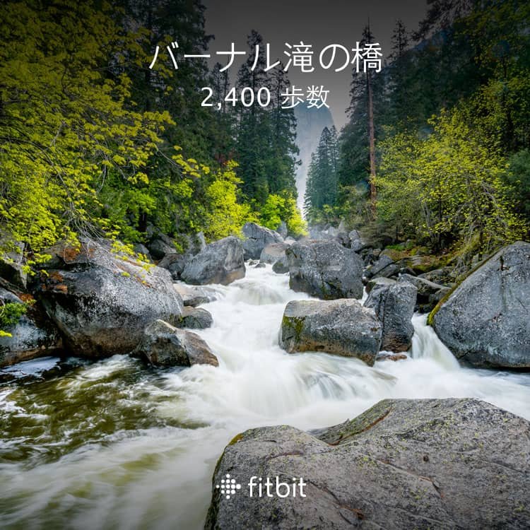 shizuku_o's tweet photo. バーナル滝コースを 2,400 歩進み、バーナル滝の橋に到着 #FitbitAdventure @Fitbit
自粛でも、世界旅行 https://t.co/vAS5uFrGuo