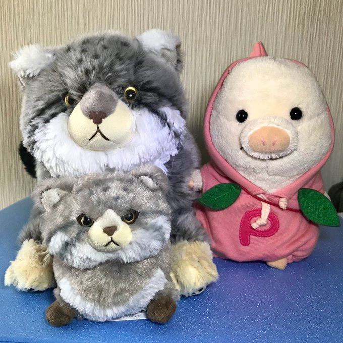 サンレモンさん がハッシュタグ ヴィレッジヴァンガード をつけたツイート一覧 1 Whotwi グラフィカルtwitter分析 サンレモンさん がハッシュタグ ヴィレッジヴァンガード をつけたツイート一覧 1 Whotwi グラフィカルtwitter分析