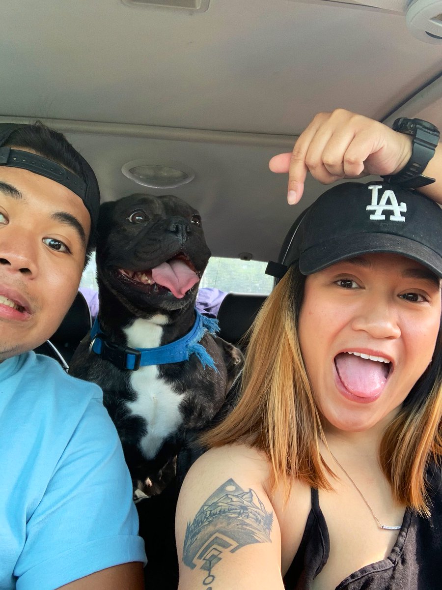 gangedd's tweet photo. First time camping with toothless 😅🥰 https://t.co/jgjANvgVJK