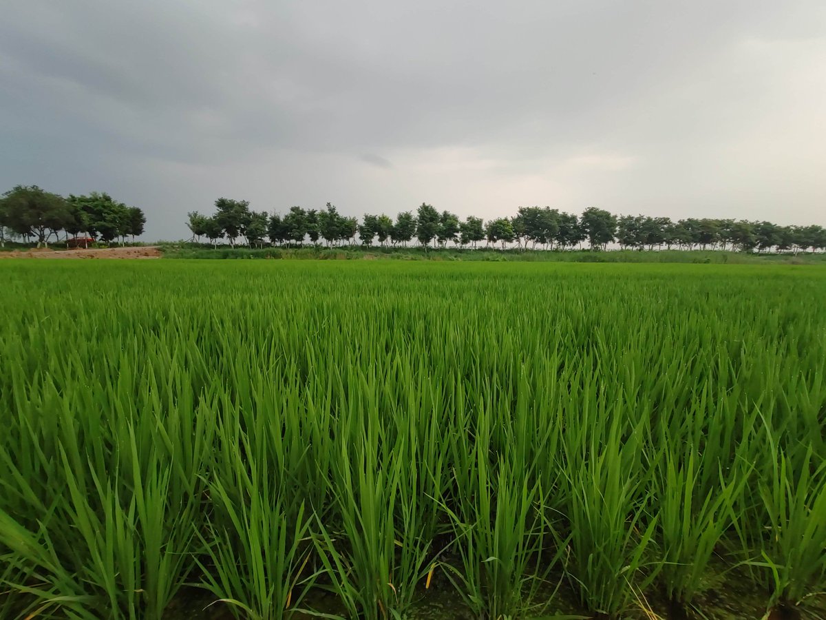 小饺子🇨🇳 tweet media