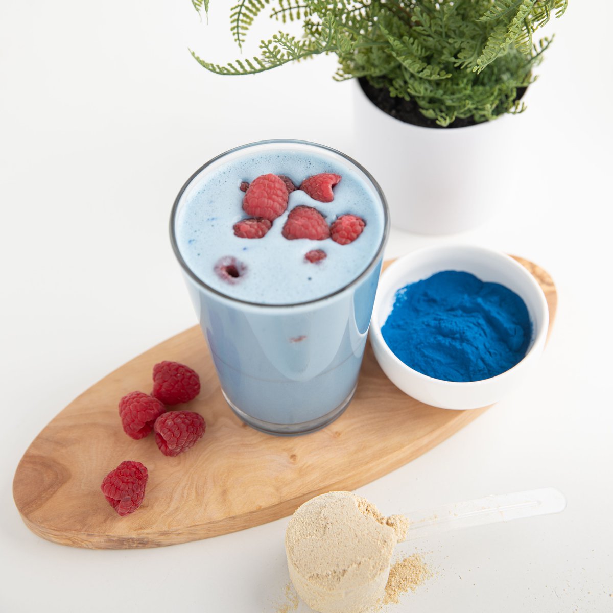 PlexusWorldwide's tweet photo. Head over to our Plexus Worldwide® Facebook Page to get this healthy ‘blue’ your mind recipe! 🤯😋💙 #PlexusLean #MealReplacement #ProteinShake
https://t.co/NWo2V5WLRN https://t.co/1KohxlbkGp