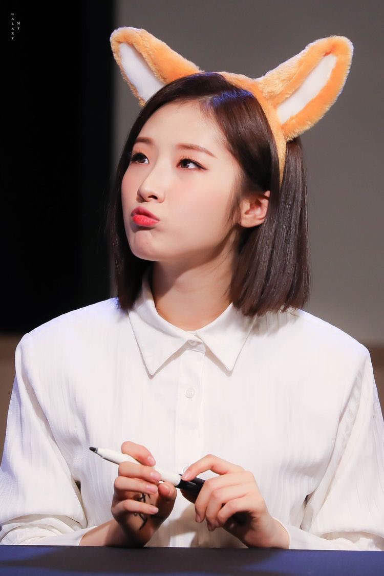 cute haseul at fansigns