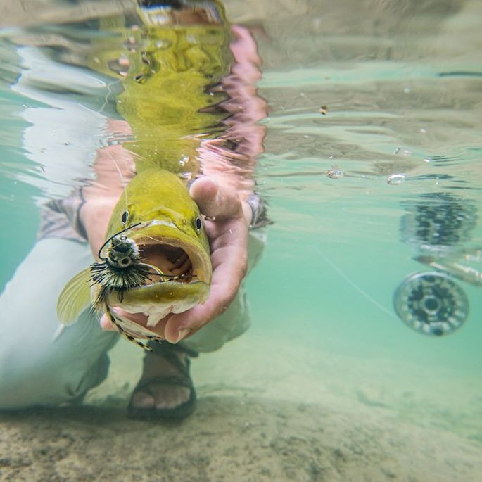 FunFunkyGallery's tweet image. Welcome Dustin Doskocil our newest Photographer at the FUN &amp;amp; FUNKY ART GALLERY #2 address 4 River Dr. Bailey CO 80421. Voted "Best Art Gallery in Park County" Visit us facebook.com/ArtByAndyNortn… tag us #FunFunkyGallery #photography #Colorado #fishing #flyfishing #gallery #art