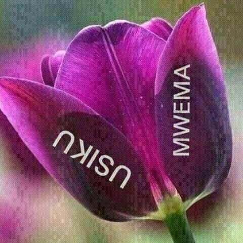 EnockSultan's tweet photo. @pamilerin All my friends https://t.co/d6HCoPdzyG