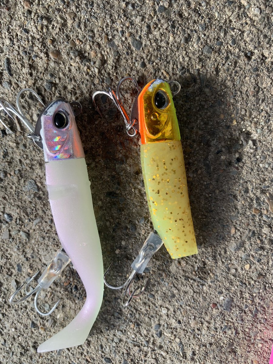 たっつん フグにワームやられて 本命はノーバイト Xdx ハウルが1番美味しそうだったのかな 笑 釣り 海 東北 岩手 北三陸 サーフ フラットフィッシュ ヒラメ ソゲ ダイワ フラットジャンキー Duo ハウル Jackson ジャクソン クイック