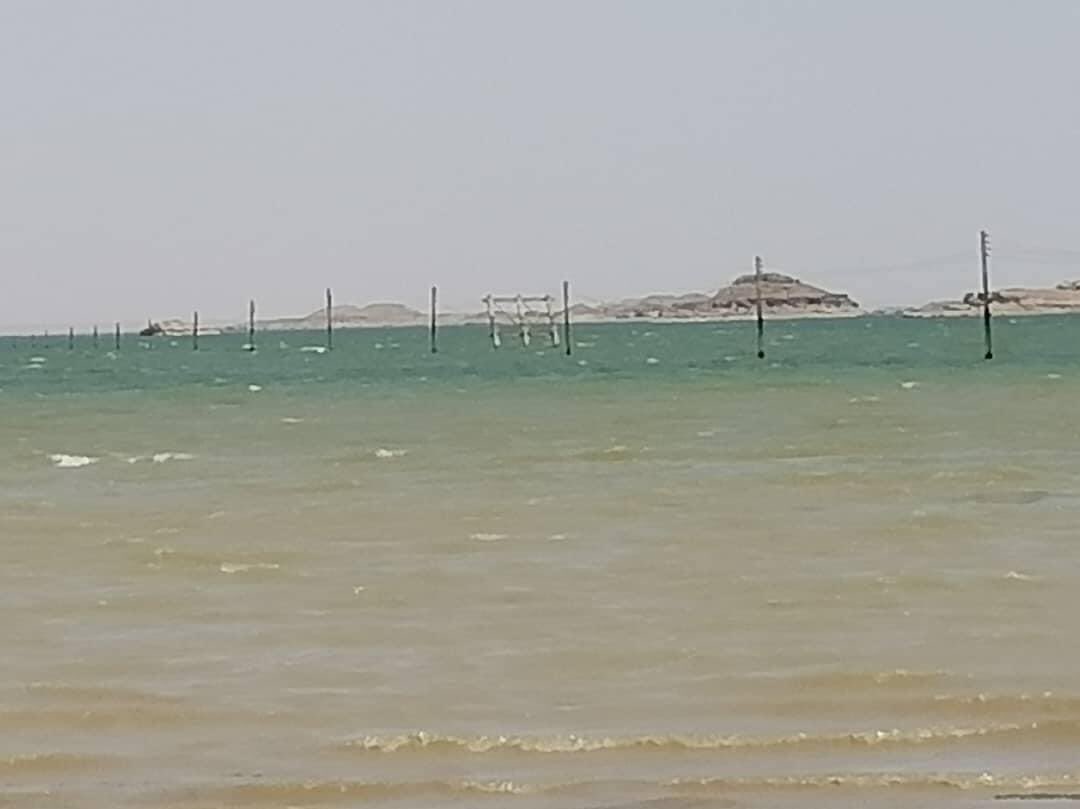 salma1siddig's tweet photo. مدينة حلفا القديمة ظهرت من جديد للسودان.

بعد إنحسار مياه بحيرة النوبه جراء قفل بوابات #سد_النهضه...!
أعمدة كهرباء مدينة حلفا القديمه التي غرفت في أوائل الستينات جراء بناء السد العالي بدأت تظهر وكأنها غرقت بالأمس. https://t.co/NSip3Hs3xY
